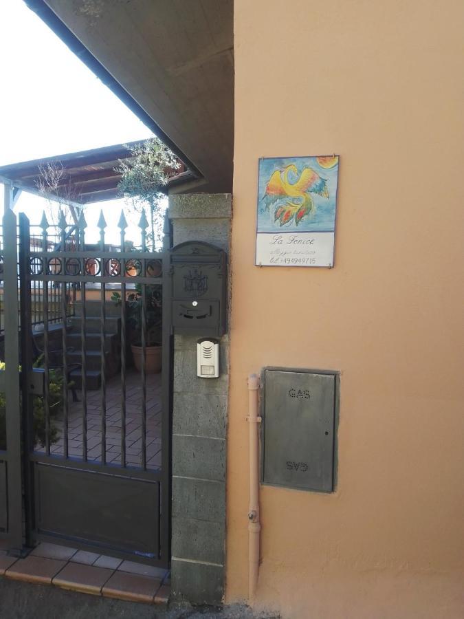 La Fenice Montefiascone Exterior photo