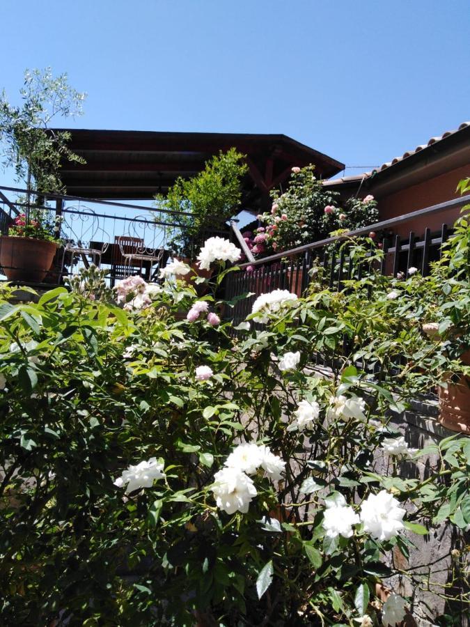 La Fenice Montefiascone Exterior photo