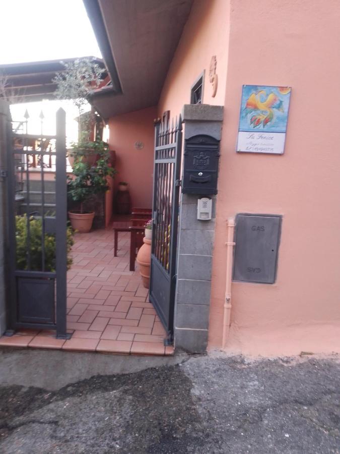 La Fenice Montefiascone Exterior photo