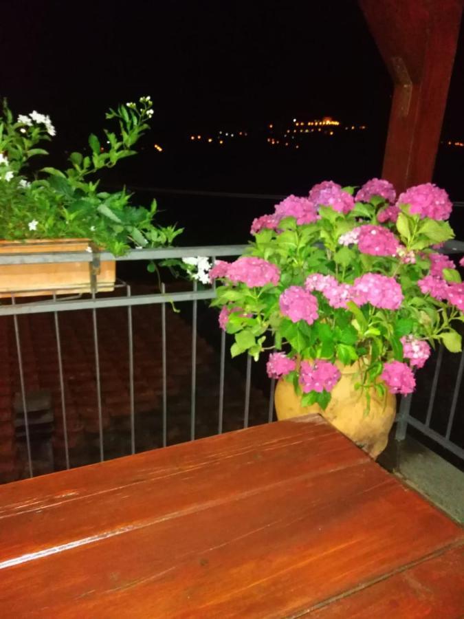 La Fenice Montefiascone Exterior photo