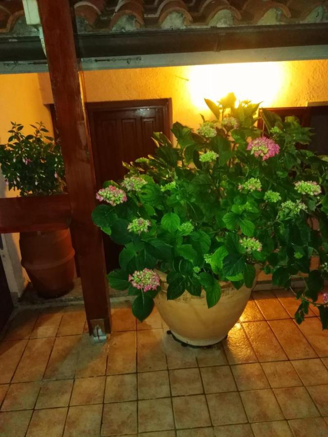 La Fenice Montefiascone Exterior photo