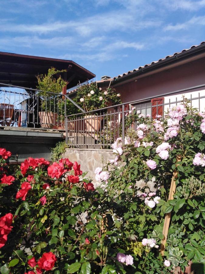 La Fenice Montefiascone Exterior photo