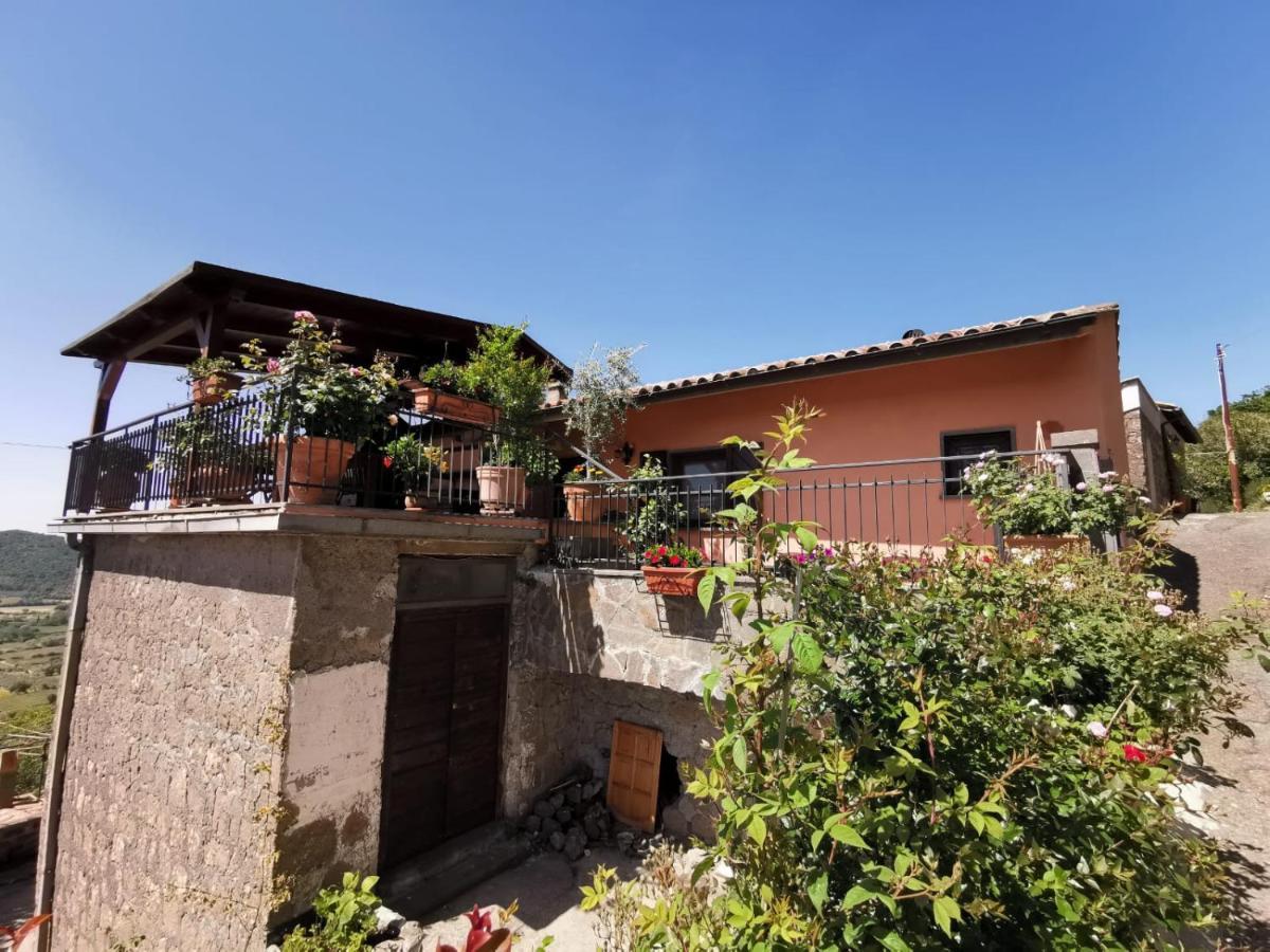 La Fenice Montefiascone Exterior photo