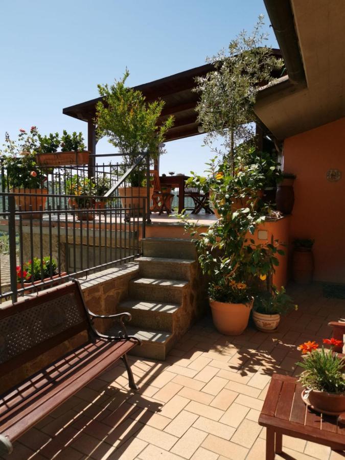 La Fenice Montefiascone Exterior photo