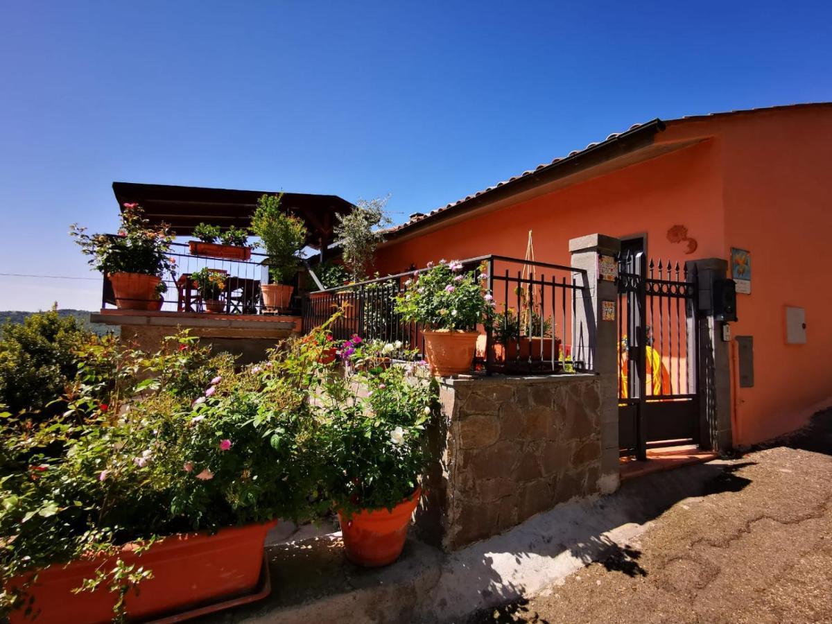 La Fenice Montefiascone Exterior photo